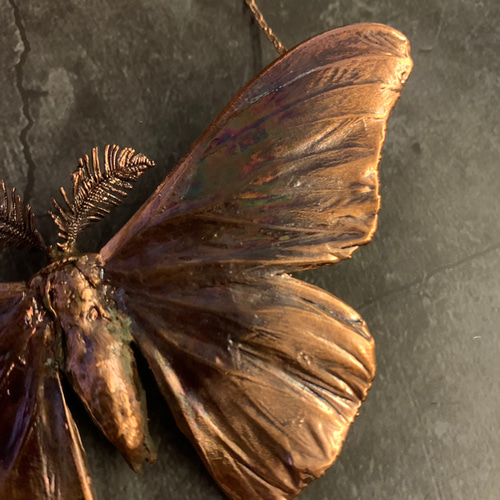 TORQUATA ヤママユガ ネックレス ヤママユガ ネックレス | TORQUATA(トルクアータ) - gondoa 公式通販