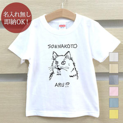 【全国送料無料】 そんなことある？ 猫　動物 キッズ Tシャツ おもしろTシャツ 綿100% カラー7色 1枚目の画像