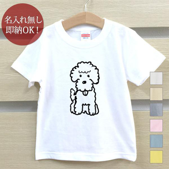 【全国送料無料】 トイプードル 犬 子犬 動物 キッズ Tシャツ おもしろTシャツ 綿100% カラー7色 1枚目の画像