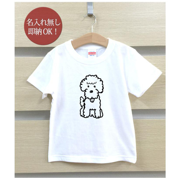 【全国送料無料】 トイプードル 犬 子犬 動物 キッズ Tシャツ おもしろTシャツ 綿100% カラー7色 2枚目の画像