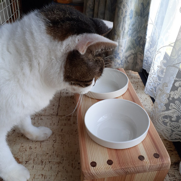 猫用食器付台　傾斜台　肉球　猫　フードボール2個　ペット用食器　フードスタンド　食事台　フードテーブル 1枚目の画像