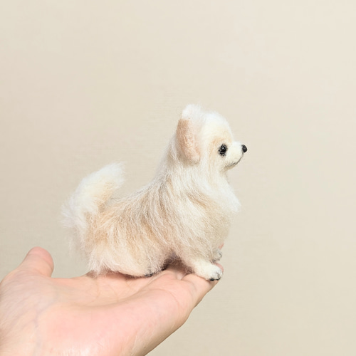 ぴのきち Pinokichi | 仰向けチワワちゃん制作中〜🐶💕前足は