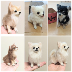 羊毛フェルト　おすましチワワちゃん　送料無料 受注制作】羊毛フェルト｜チワワちゃん 羊毛フェルト haru 通販