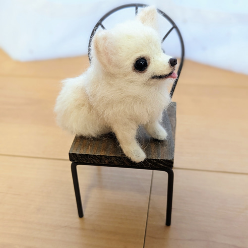 受注制作】羊毛フェルト|チワワちゃん 羊毛フェルト haru 通販 受注制作】羊毛フェルト|チワワちゃん 羊毛フェルト haru 通販