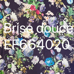 【kohfuさま】 Brise douce、Eleonora オーダーのお品物 3枚目の画像