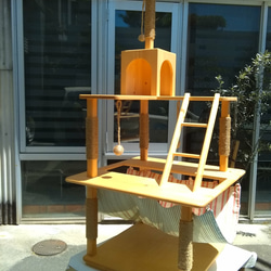 キャットタワー のおすすめ人気通販 検索結果｜Creema(クリーマ