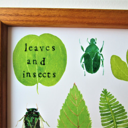 絵画 アート ポスター(額付)「leaves and insects」 2枚目の画像