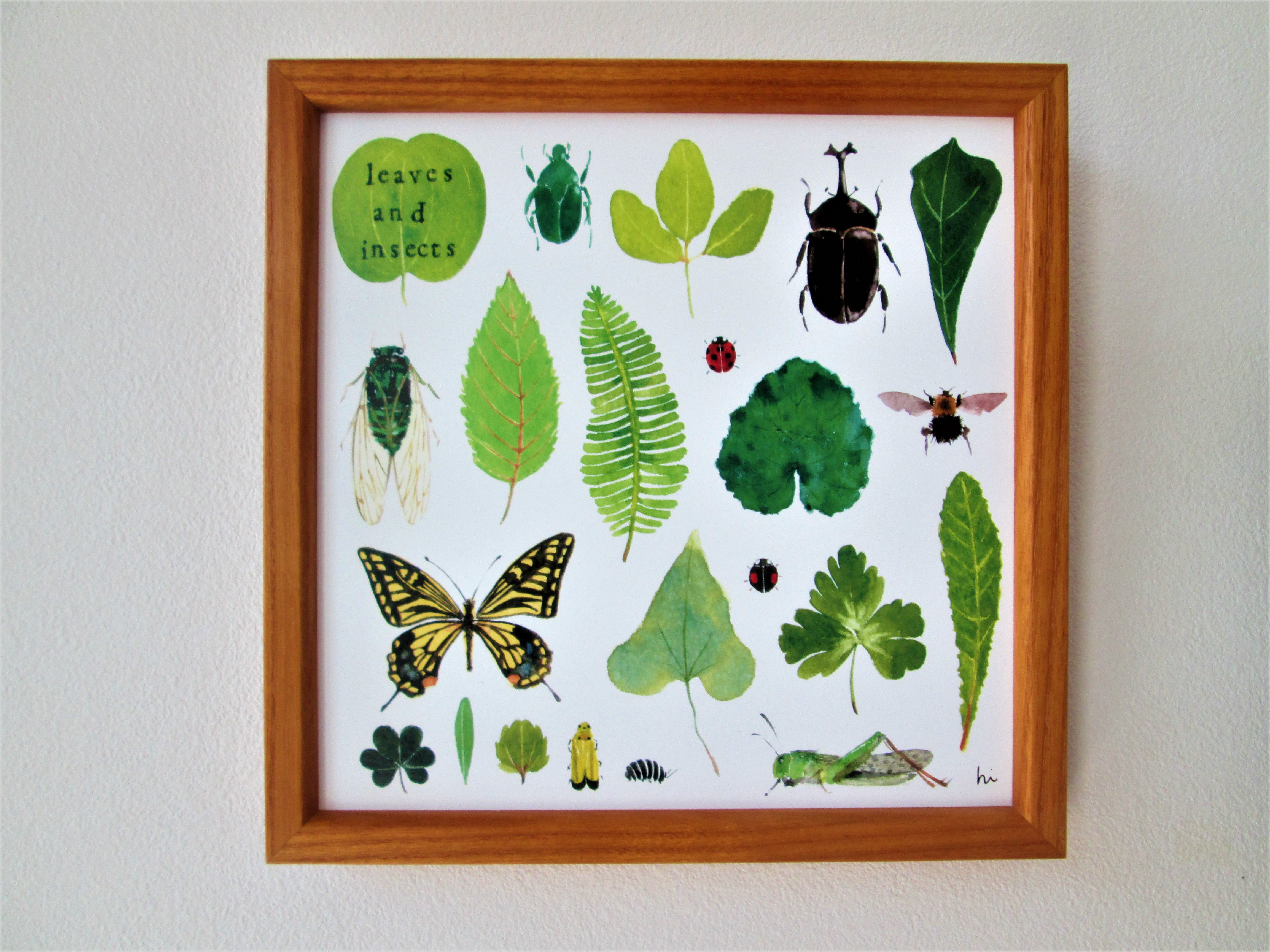 ハッチ&ウメ」猫イラスト（原画） 溜め込む 