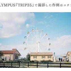 【完動品】【3ヶ月保証】オールドフィルムカメラ  OLYMPUS TRIP35 S/N179413 m047 8枚目の画像