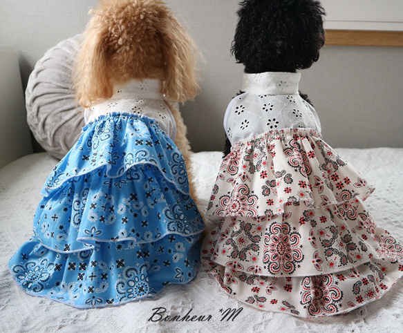 ももちん☆ 犬服ハンドメイドワンピース 犬服 ハンドメイド ワンピース 夏 春 3号 白レース 花柄 - メルカリ