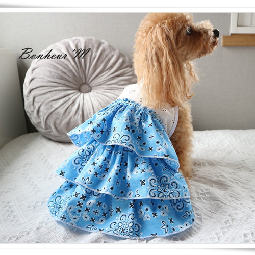 犬服〜3段フリルワンピース〜 バンダナ レース ブルー ホワイト