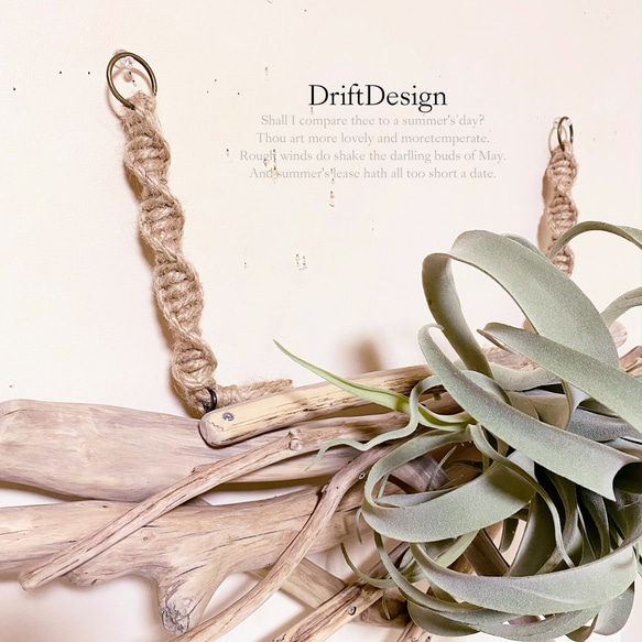 〜Drift Design〜　流木と大型キセロ造花の壁掛けデザインディスプレイ　インテリア　流木アート　グリーン　造花 3枚目の画像