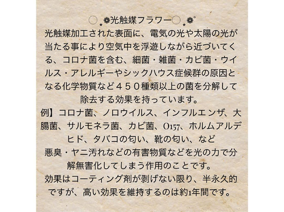 光触媒　ハンドメイド　フラワーアレンジ　ボックスフラワー 10枚目の画像