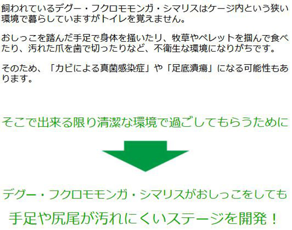 德古吸水快乾階段（蜜袋鼯、花栗鼠用） 第2張的照片