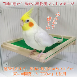 脚の悪い鳥・小動物用 やわらかソフトステージ（バリアフリー 介護 老鳥） 1枚目の画像