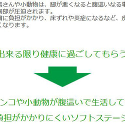 腿弱鳥類和小動物的軟舞台（無障礙、照顧、老鳥） 第2張的照片