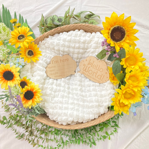 ニューボーンフォト5点セット ニューボーンフォト アルバム PREMIUM