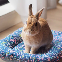 うさぎ用 ゴロンちょマット・Blooming rabbit・アイボリー(クッション、ベッド) 10枚目の画像