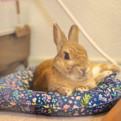 うさぎ用 ゴロンちょマット・Blooming rabbit・イエロー(クッション、ベッド) 8枚目の画像