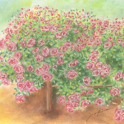 薔薇（パステル画・マット紙付き） 2枚目の画像