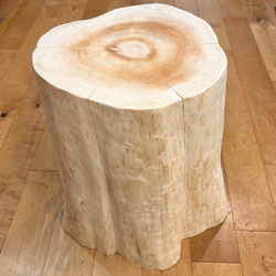 Hinoki  Wood  Stool【Frill】 No.290 2枚目の画像