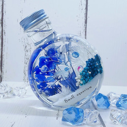 水族館 ハーバリウム クラゲ アクアリウム ホワイト&ブルー ハー