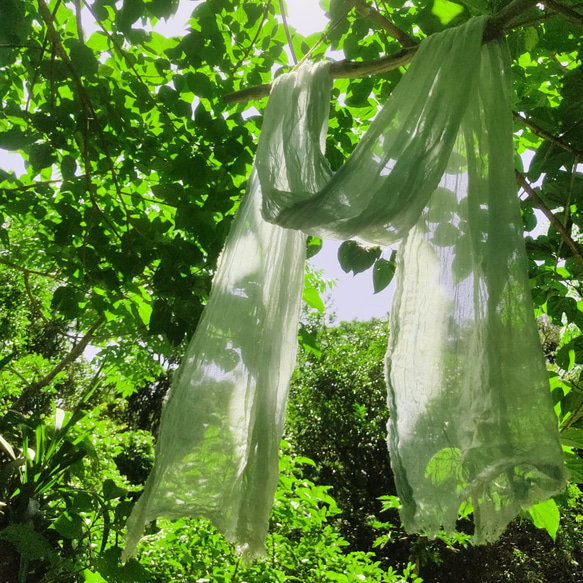 屋久島の草木染めオーガニックコットンストール（琉球藍生葉染めブルー） 6枚目の画像