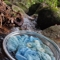 屋久島の草木染めオーガニックコットンストール（琉球藍生葉染めブルー） 17枚目の画像