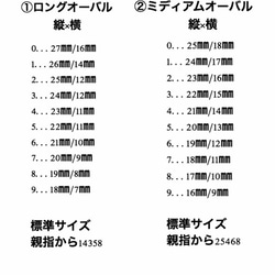 ネイルチップ 3枚目の画像