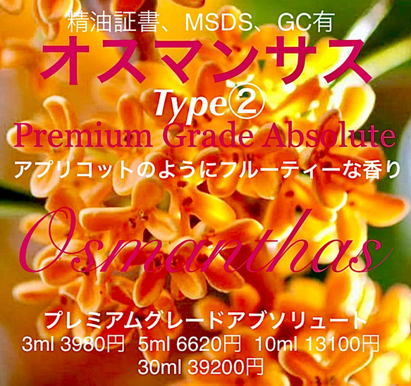 高粘性蜂蜜＆アプリコットの様な香り】オスマンサスアブソリュート 
