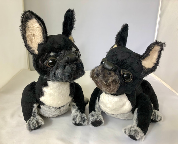 フレンチブルドッグらしき ぬいぐるみ ゴリ 通販 16027518 フレンチブルドッグらしき ぬいぐるみ ゴリ 通販 16027518