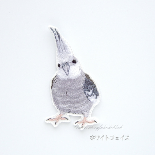 オカメインコ ノーマル ホワイトフェイス ルチノー スノーホワイト