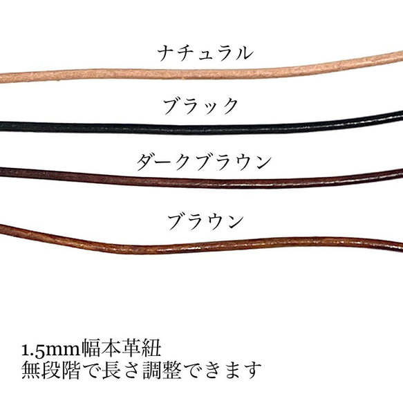  第14張的照片