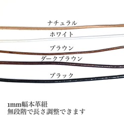 第5張的照片
