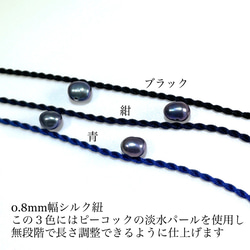  第4張的照片