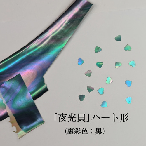 原貝から厚貝、薄貝まで幅広く買いのご要望にお応えします。