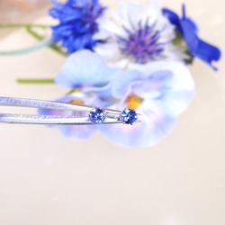 コムラサキ蝶の羽根とタンザナイトの宝石ピアス／2way-316L 2枚目の画像