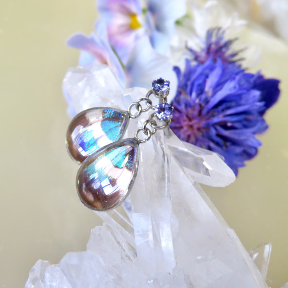 コムラサキ蝶の羽根とタンザナイトの宝石ピアス／2way-316L 4枚目の画像