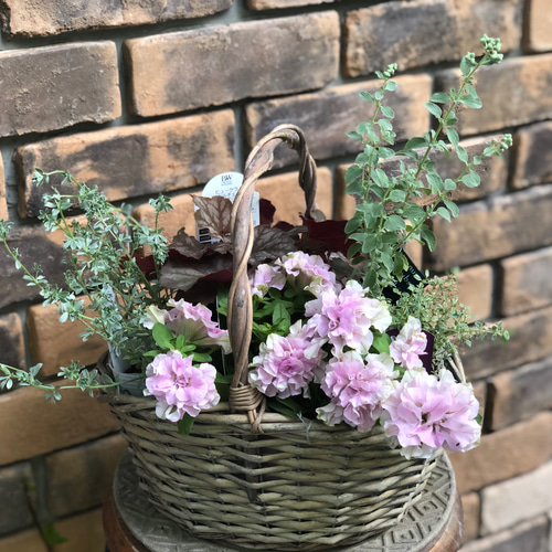 寄せ植えセット＊花日和さんオリジナル・ベルチャーム「アンナ」で上品