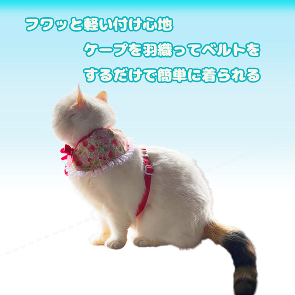 ケープハーネス・ストロベリー　猫のハーネス 猫 首輪 6枚目の画像