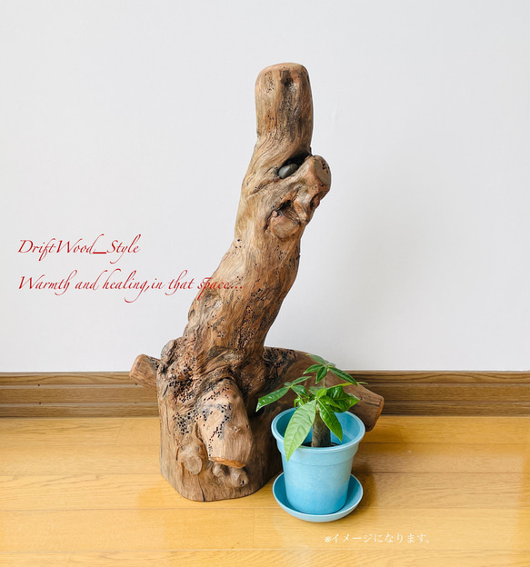 流木インテリア 芸術的な造形の流木スタンド 植物や小物を置いて飾れる置物 天然流木 木材 癒し 1枚目の画像