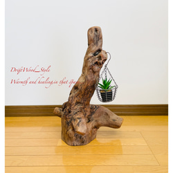 流木インテリア 芸術的な造形の流木スタンド 植物や小物を置いて飾れる置物 天然流木 木材 癒し 2枚目の画像