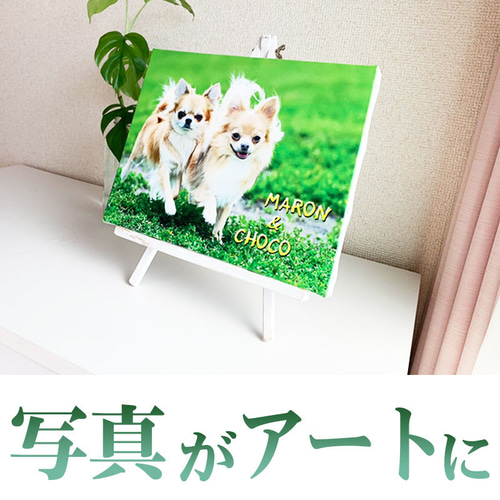 ワンちゃん猫ちゃんの写真をキャンバスにプリント オリジナルフォト