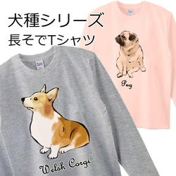 【T♡ちゃんページ】 ☆チワックスさんとコーギーさん☆ o0843084315477591659.jpg