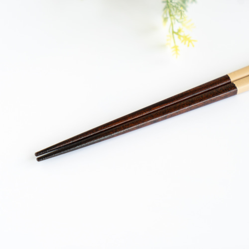 漆塗りのお箸 【21cm 女性向け】四角 白（ベージュ）短め 日本製
