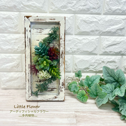 【Creema限定】多肉植物・アーティフィシャルフラワー　 1枚目の画像