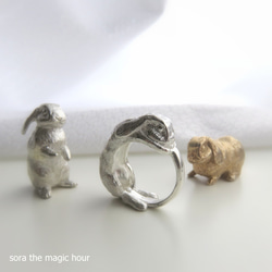 兔子戒指均碼戒指迷你霸王兔兔年寵物/吉祥/幸運符 [訂製] 第11張的照片