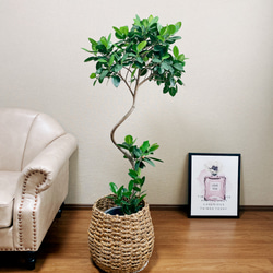 d0580c355736ac7b091aae5b9b8466