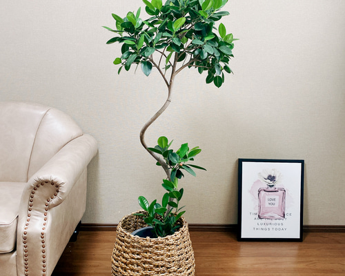 d0580c355736ac7b091aae5b9b8466