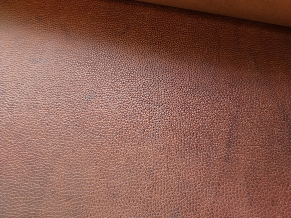 MARGOT brown 型押し97×58cm 2枚目の画像